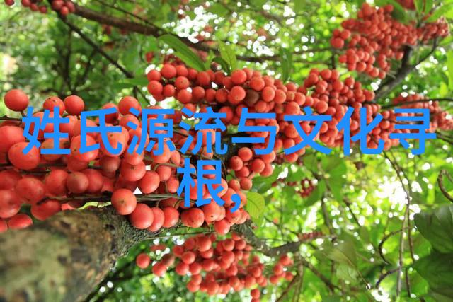 却氏百科