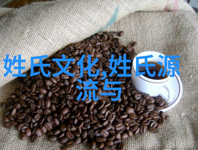 姓氏的分布