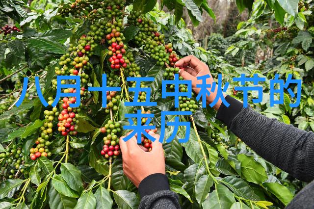 江西构建中医药三位一体发展格局